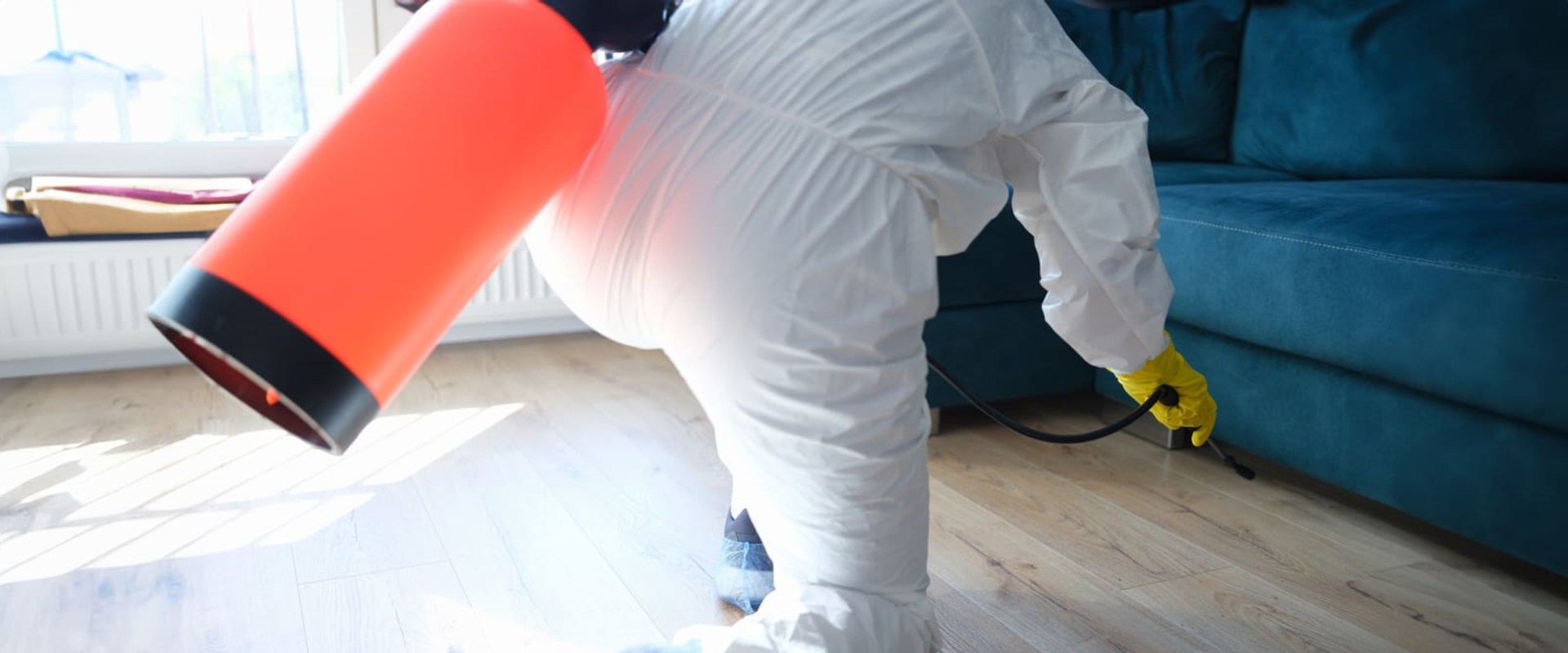 From Infestation To Removal: Safeguarding Your Home With Rodent Extermination In Omaha, NE
