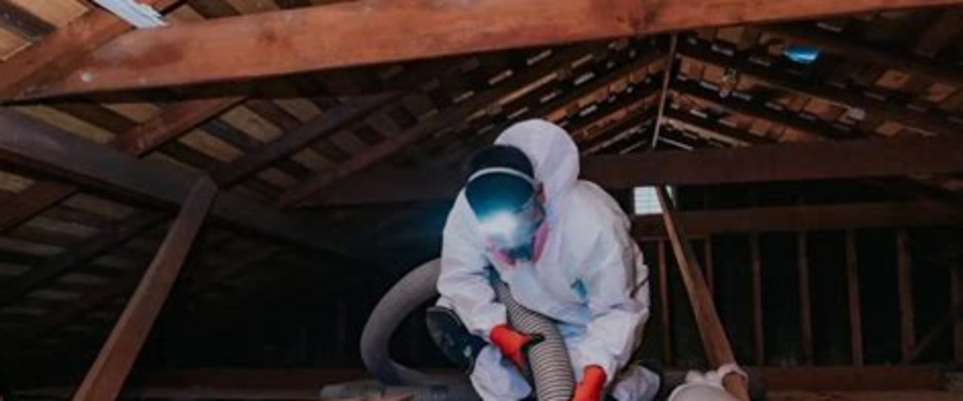 The Hidden Connection Between Rodent Removal and Structural Home Protection