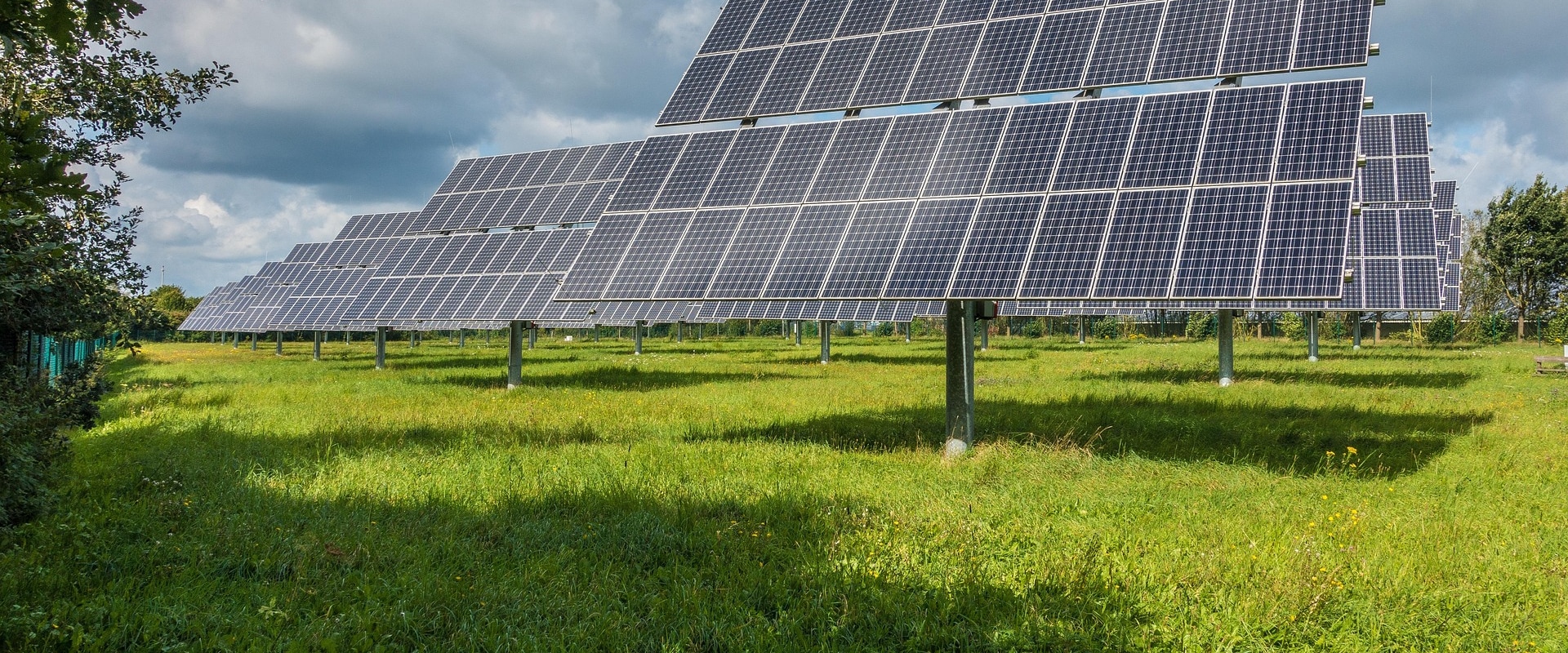Protect Your Solar Panels with Expert Rodent Removal in Switzerland