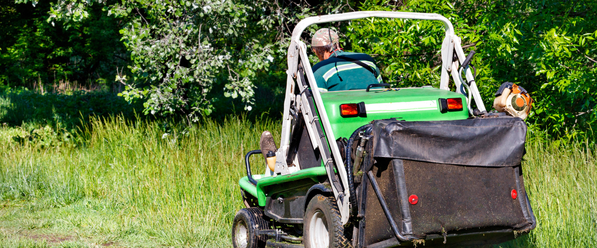 How Lawn Cutting Service In Northern Virginia Helps With Rodent Removal