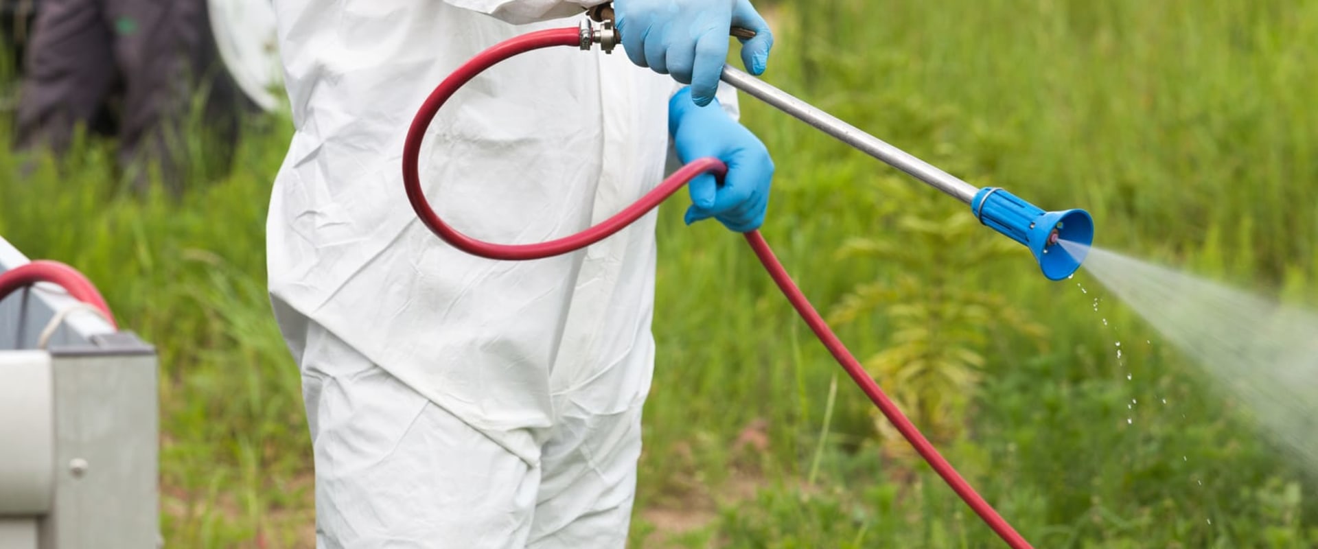 How Can A Commercial Pest Control Company Assist Businesses In Beaver Falls, PA, With Rodent Removal?