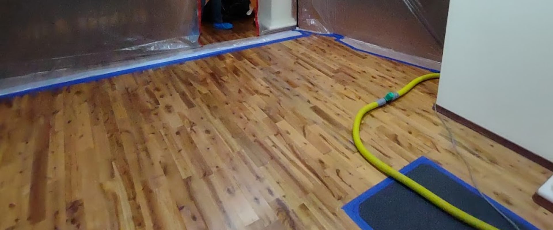 Expert Fire Damage Cleanup and Rodent Removal in Richland, WA