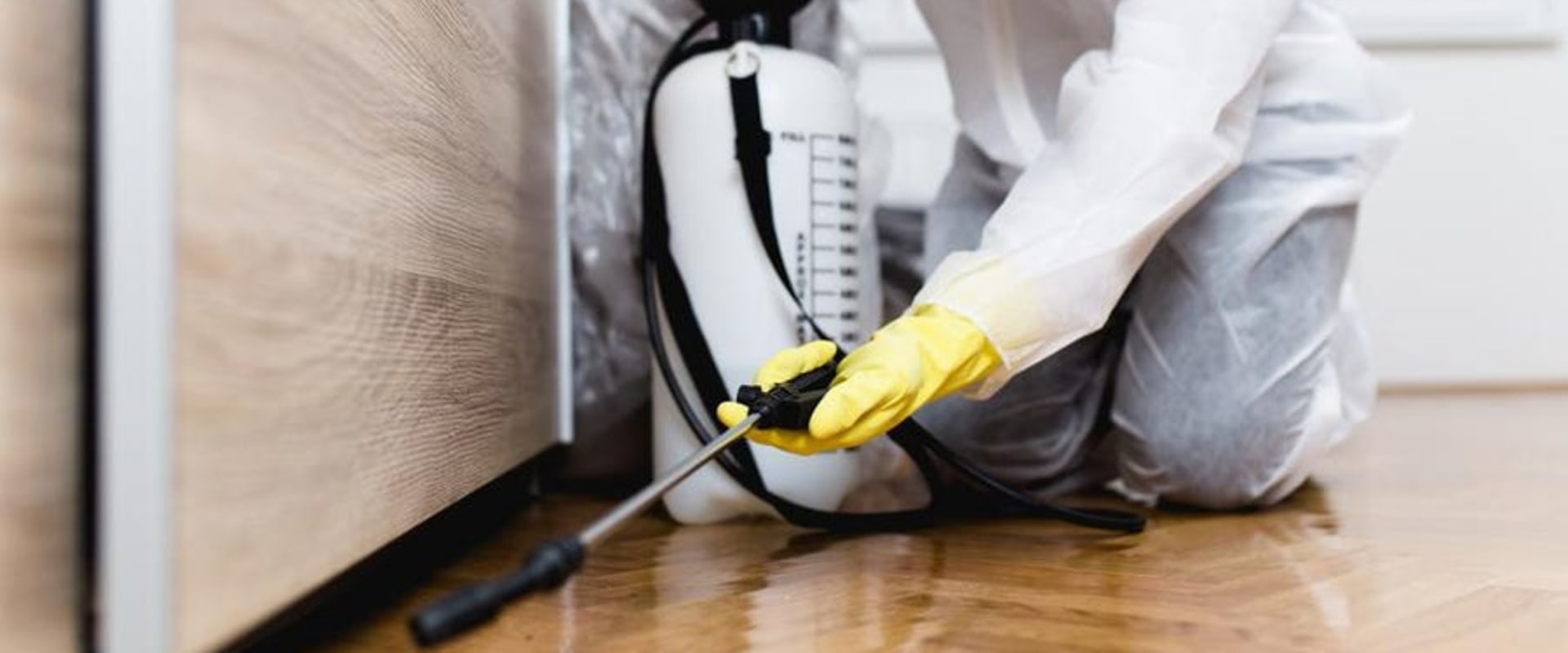 Protect Your Home And Health: Hire Local Exterminators For Rodent Removal In Forney, TX