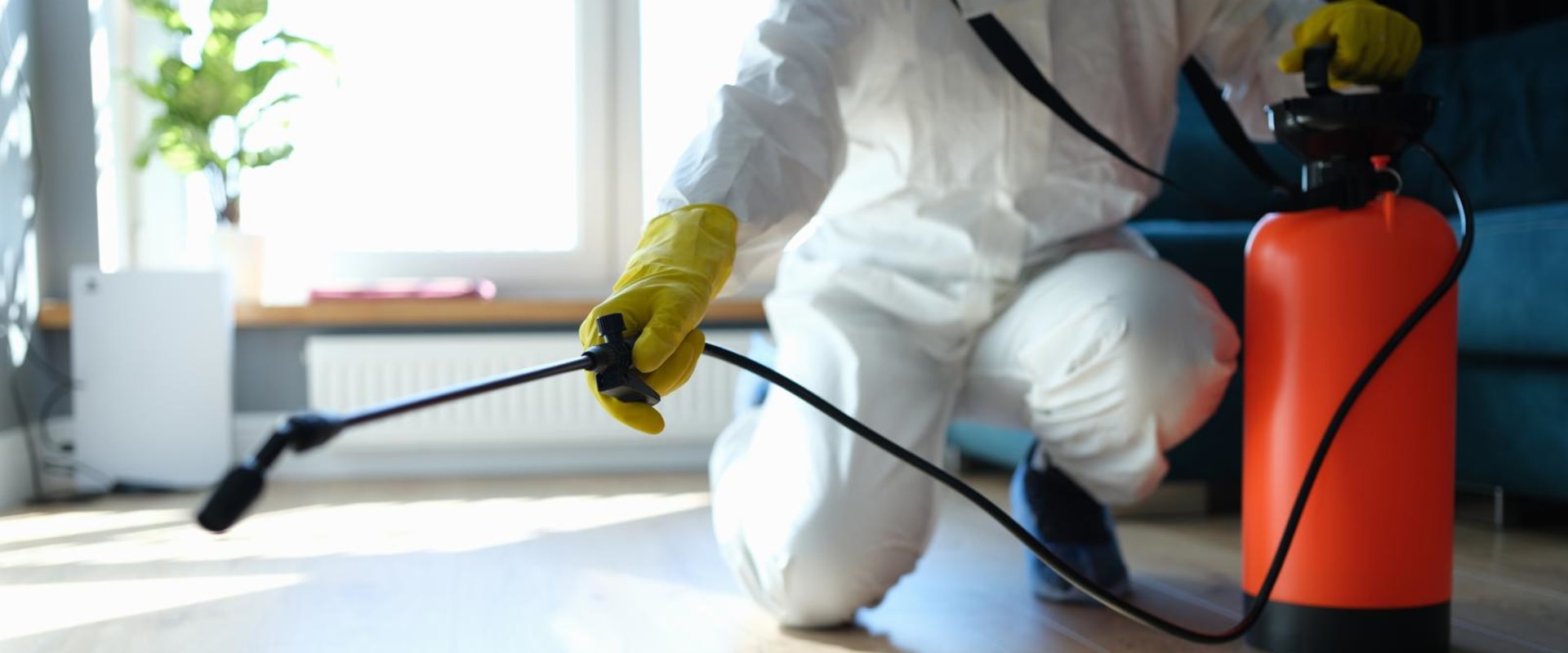 The Dangers Of Having Rodents In Your Home In Dallas