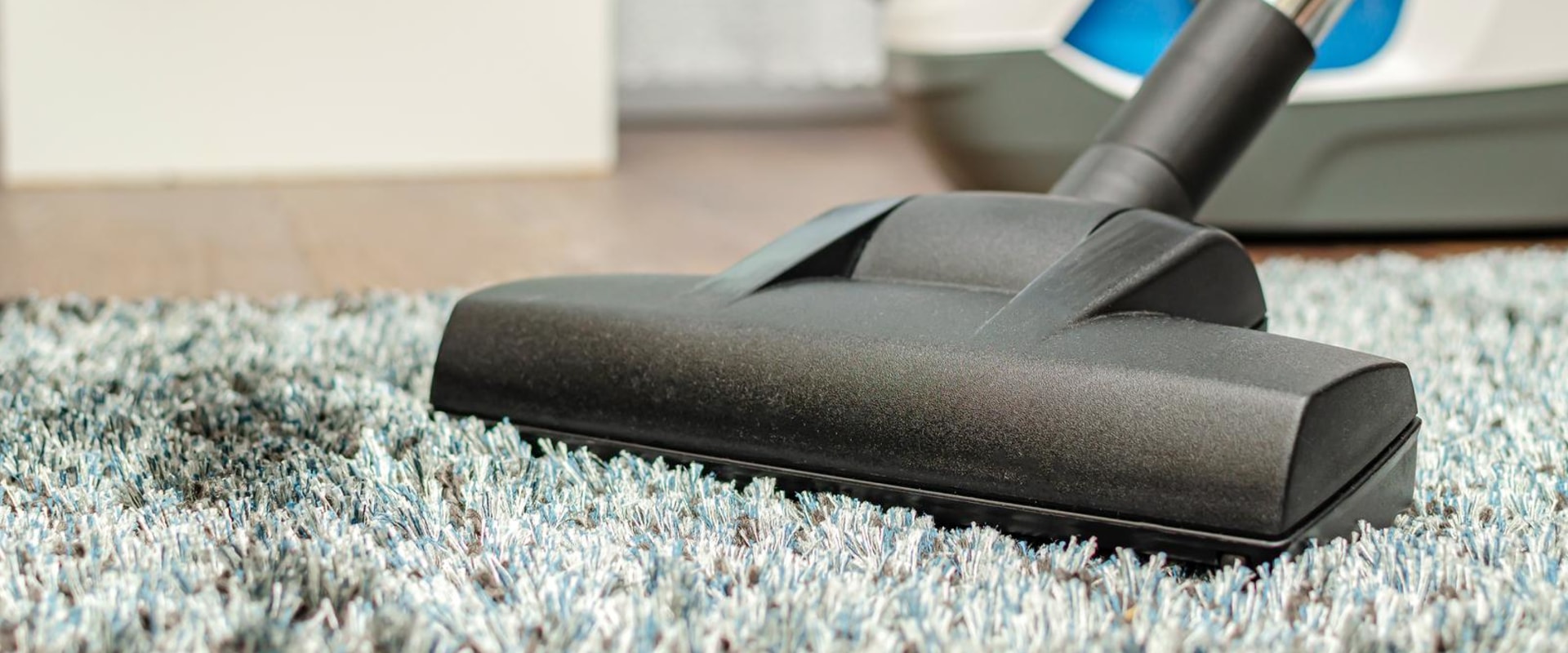 Restore Your Carpets After Rodent Removal with Atiyeh Bros.