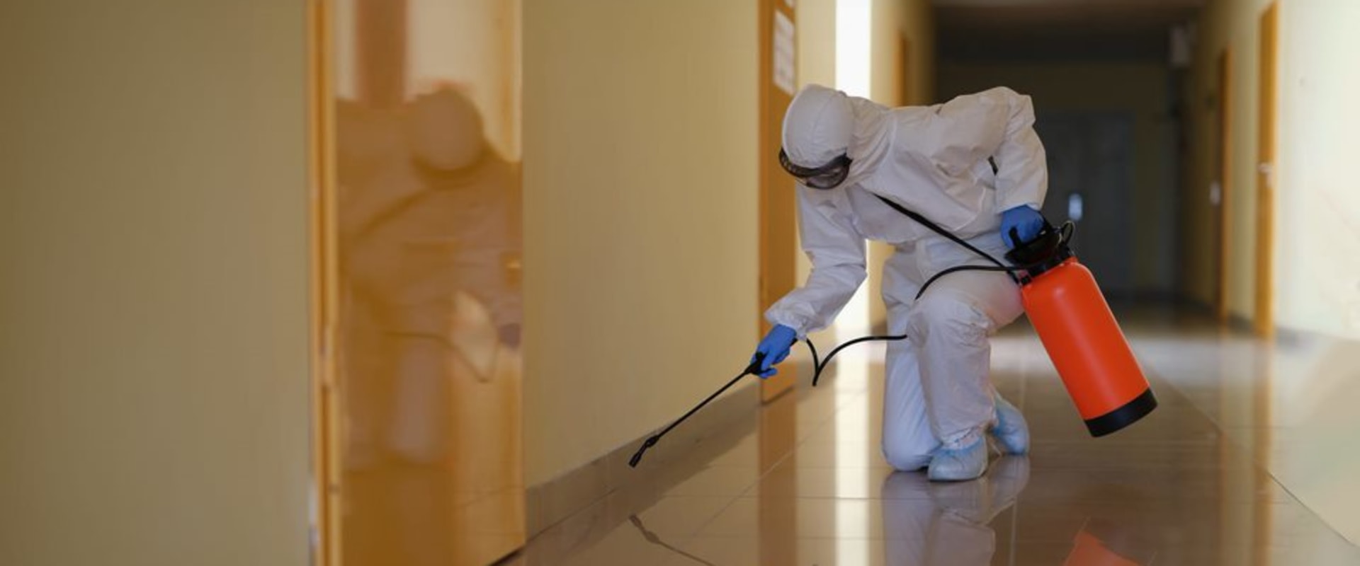 Top Pest Control Service in Atlanta, GA: Specializing In Rodent Removal