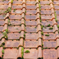 How Rodent Removal Can Highlight the Need for Asphalt Shingle Roof Replacement in McLean, VA