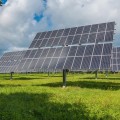 Protect Your Solar Panels with Expert Rodent Removal in Switzerland