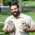 Rodent Removal In Conway, FL: Why Local Pest Control Is Your Best Defense