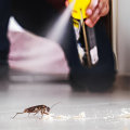Effective Rodent Removal Services in Springfield