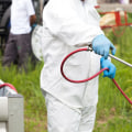 How Can A Commercial Pest Control Company Assist Businesses In Beaver Falls, PA, With Rodent Removal?