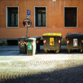 How To Keep Your Home And Property Clean During And After Rodent Removal In Lancaster