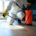 The Dangers Of Having Rodents In Your Home In Dallas