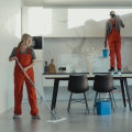Rodent Infestation? How Commercial Cleaning Services In Sydney Can Help