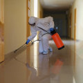 Top Pest Control Service in Atlanta, GA: Specializing In Rodent Removal