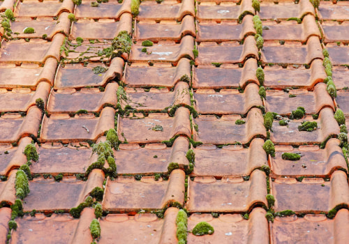 How Rodent Removal Can Highlight the Need for Asphalt Shingle Roof Replacement in McLean, VA