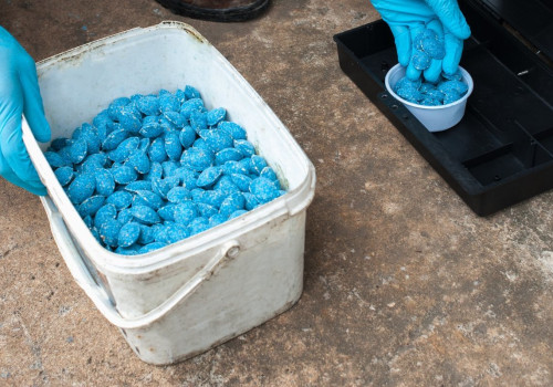 What do professional exterminators use for rats?
