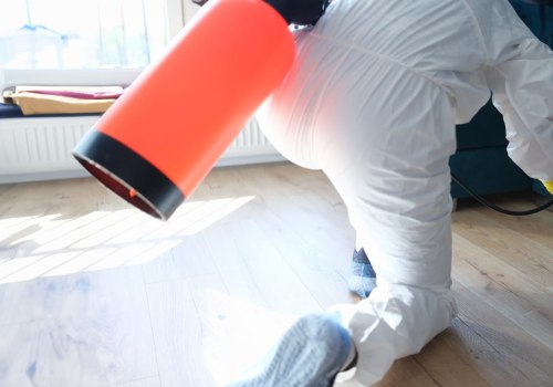 From Infestation To Removal: Safeguarding Your Home With Rodent Extermination In Omaha, NE