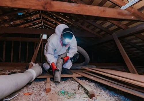 The Hidden Connection Between Rodent Removal and Structural Home Protection