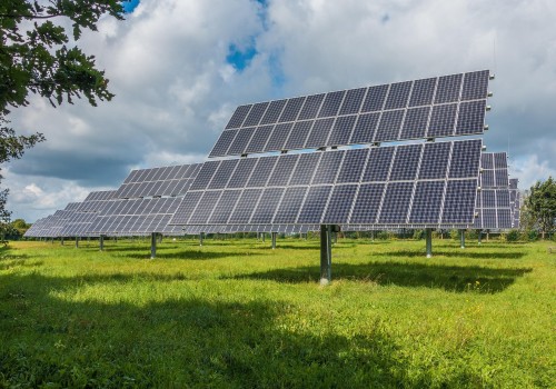Protect Your Solar Panels with Expert Rodent Removal in Switzerland