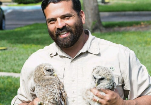 Rodent Removal In Conway, FL: Why Local Pest Control Is Your Best Defense