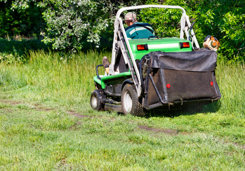 How Lawn Cutting Service In Northern Virginia Helps With Rodent Removal