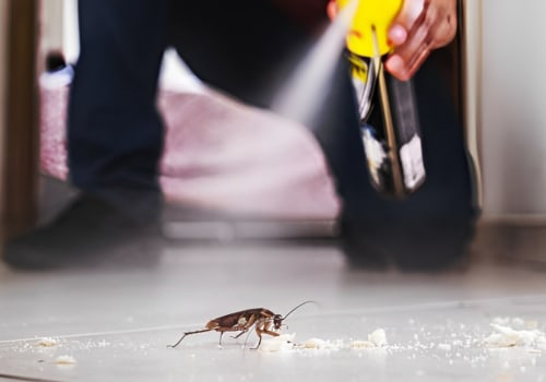 Effective Rodent Removal Services in Springfield