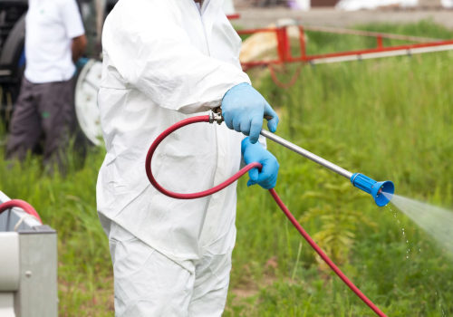 How Can A Commercial Pest Control Company Assist Businesses In Beaver Falls, PA, With Rodent Removal?