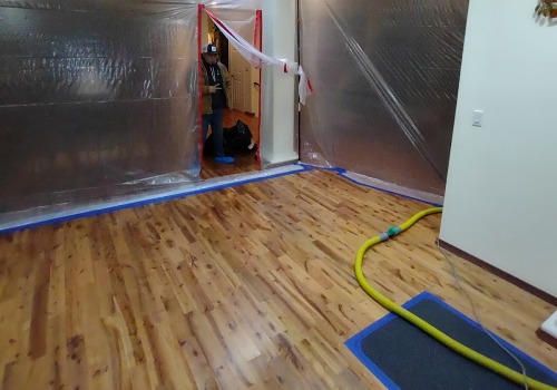 Expert Fire Damage Cleanup and Rodent Removal in Richland, WA