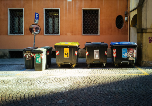 How To Keep Your Home And Property Clean During And After Rodent Removal In Lancaster