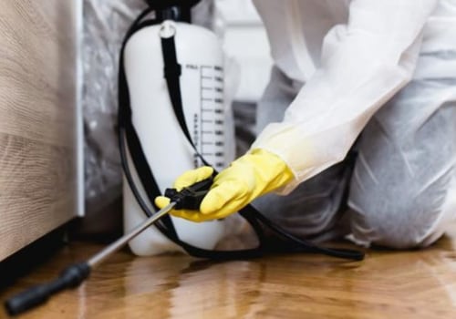 Protect Your Home And Health: Hire Local Exterminators For Rodent Removal In Forney, TX