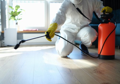 The Dangers Of Having Rodents In Your Home In Dallas