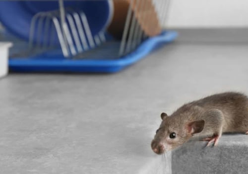 What kills rodents fast?