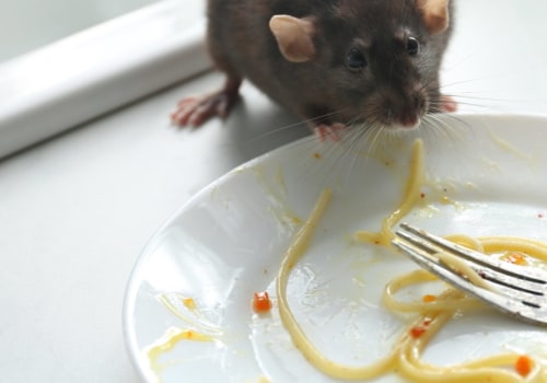 What is the most effective method of controlling rodent insects and pest?