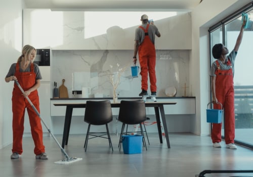 Rodent Infestation? How Commercial Cleaning Services In Sydney Can Help