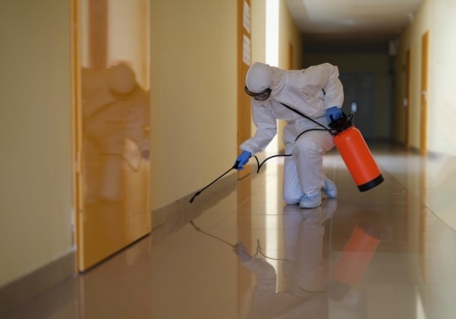 Top Pest Control Service in Atlanta, GA: Specializing In Rodent Removal